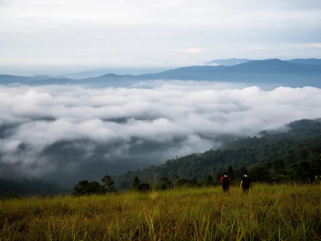 First view from the high meadow with cloud filling the valley