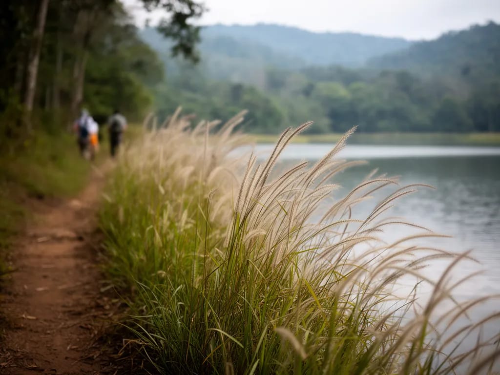 Goose grass beside the trail at the northern end of the reservoir