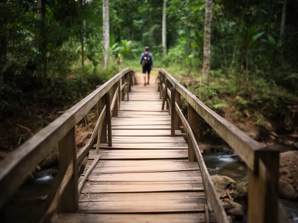 Wooden bridge crossing a feeder stream on the north shore