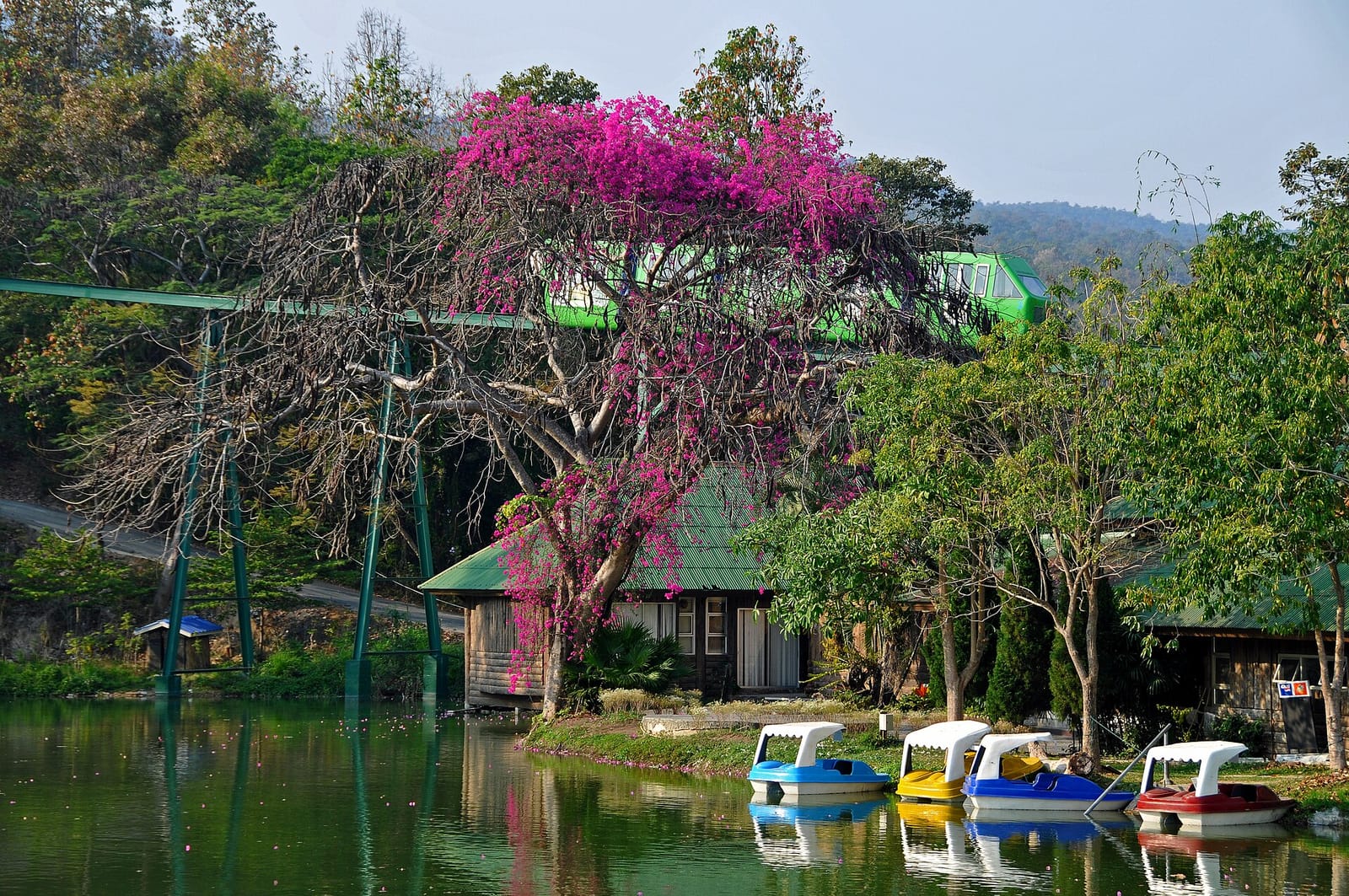 Central lake at Chiang Mai Zoo with pedal boats moored along the shore and the wooded hillside above