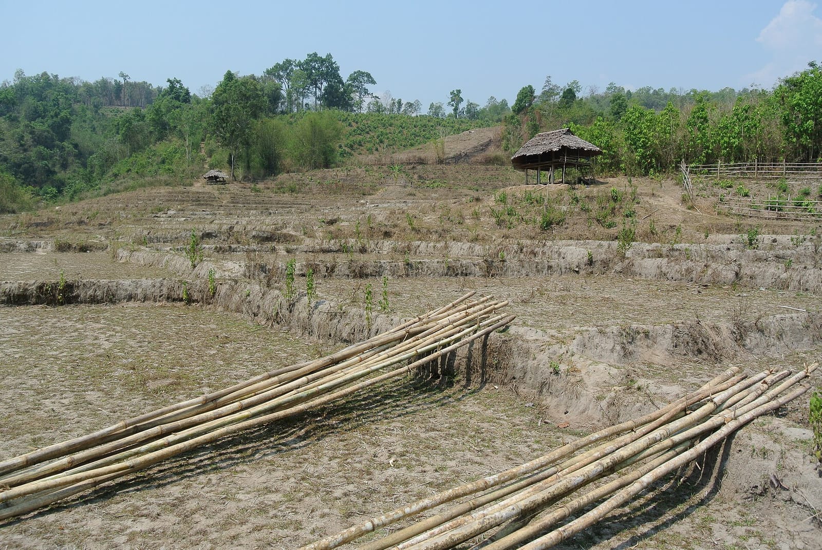 Karen rice terraces with field huts at the end of the dry season near the lower slopes of Doi Inthanon