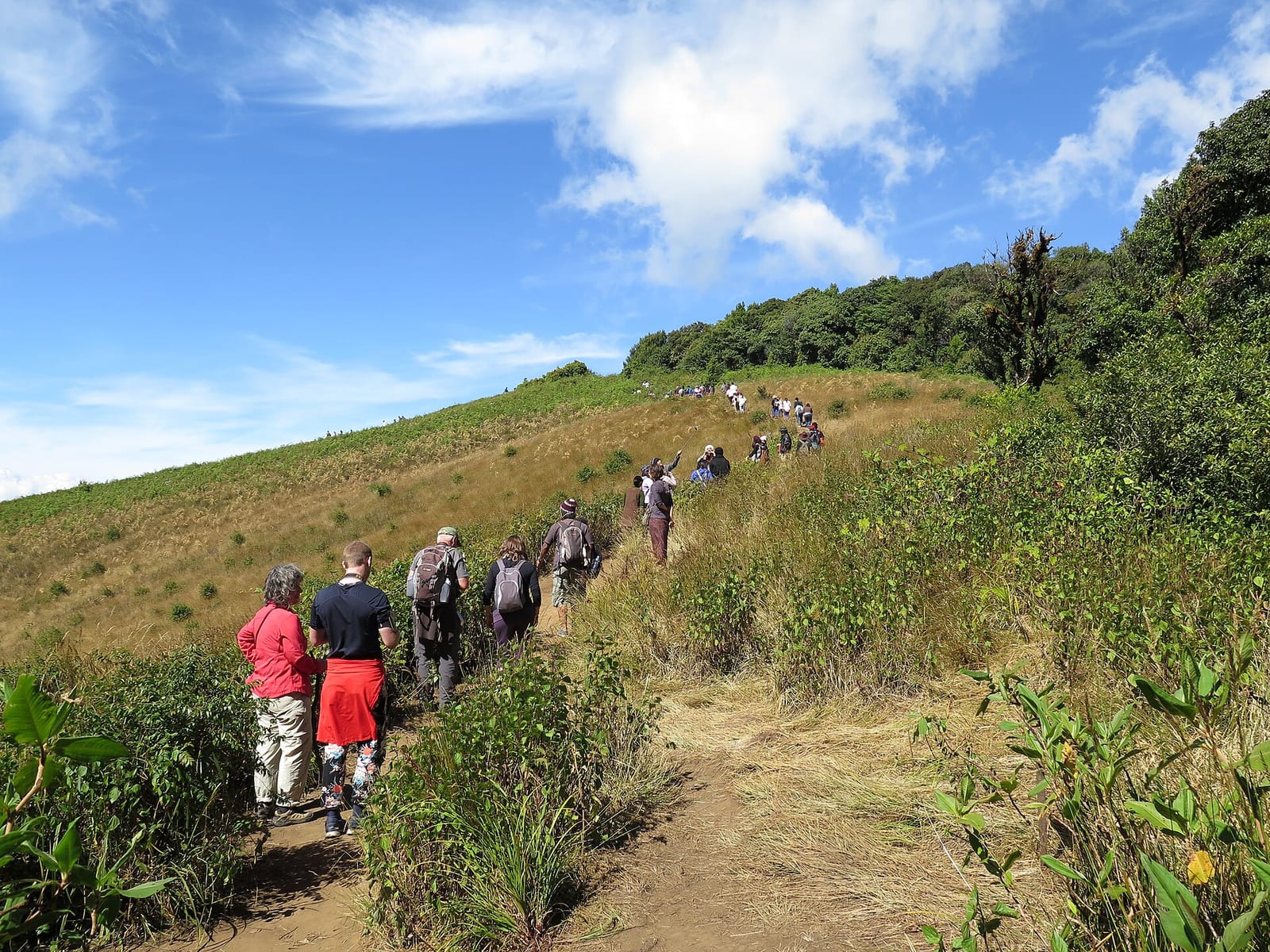 Kew Mae Pan nature trail with walkers climbing the path up the open grassy ridge