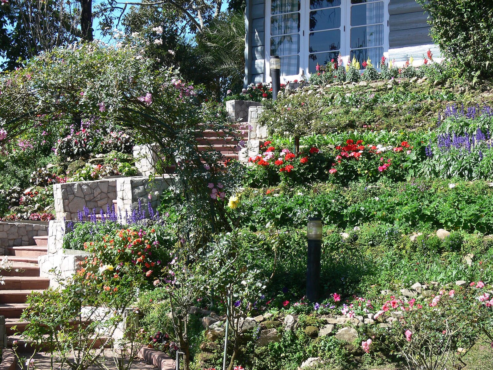 Terraced flower gardens at Bhubing Palace with one of the royal buildings behind