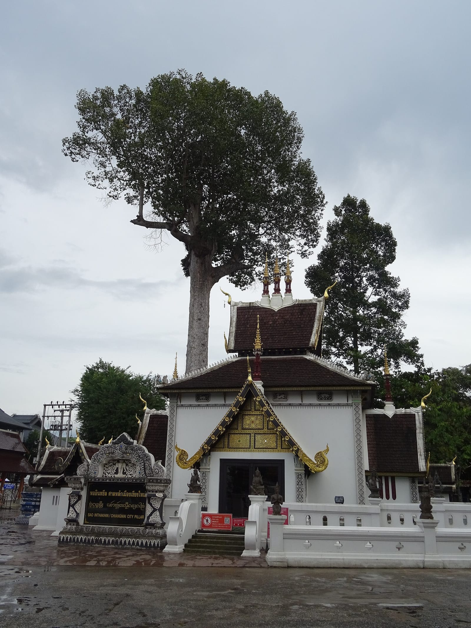 The Lak Mueang city pillar shrine inside its own small white-walled enclosure under a towering yang tree