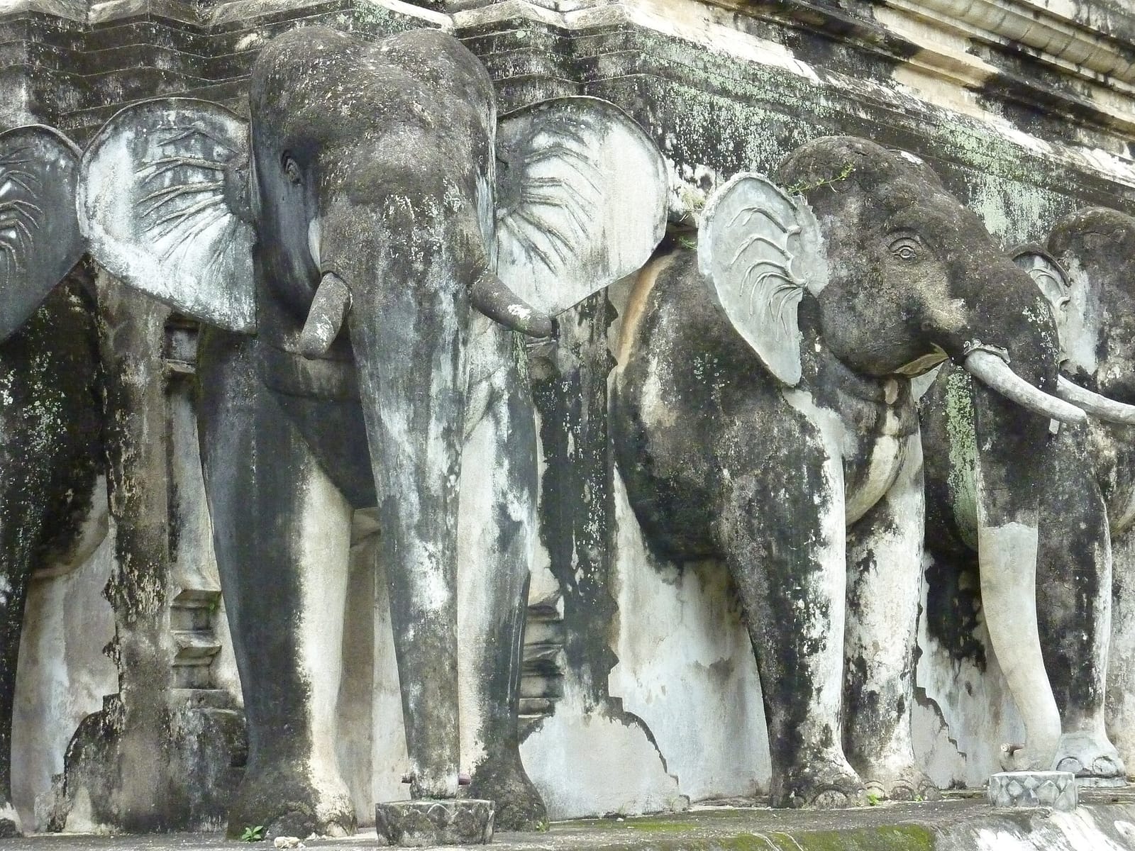 Close view of the elephant buttresses at the base of the Chedi Chang Lom, each emerging from the lower terrace in weathered stucco