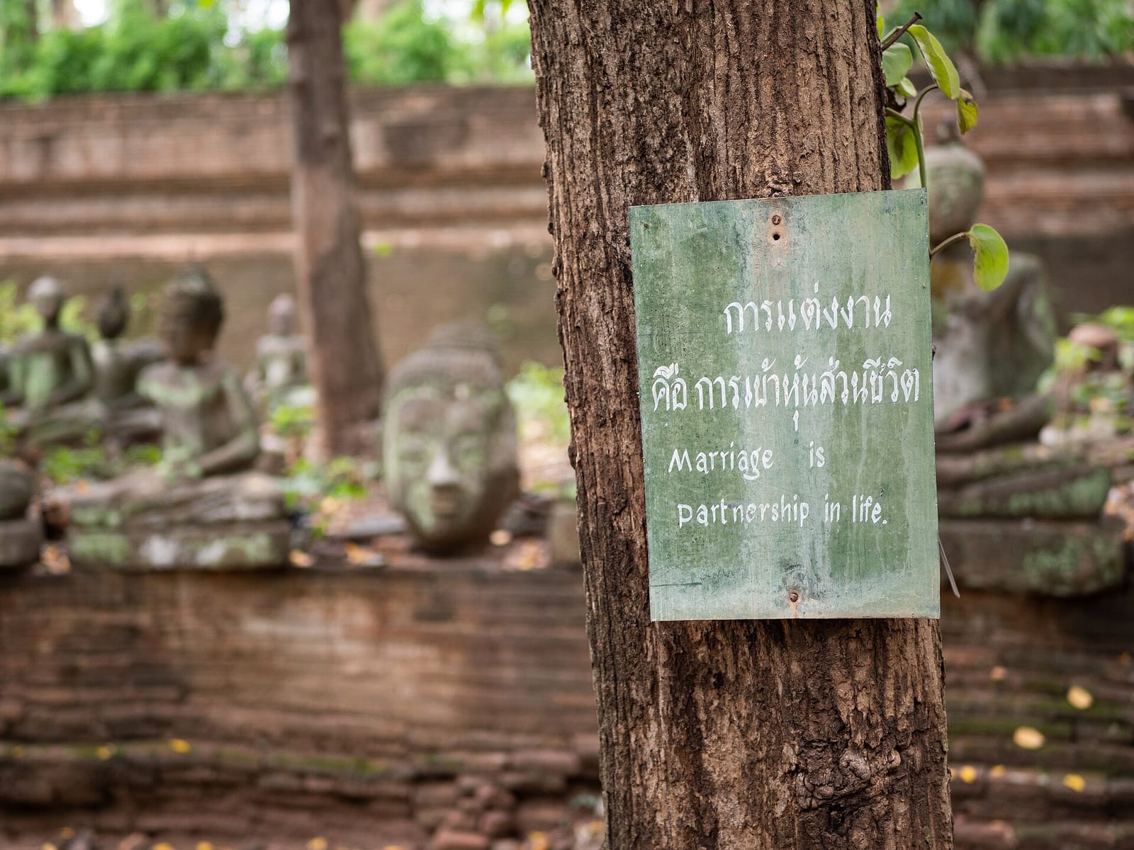 Sign fixed to a forest tree at Wat Umong with a Buddhist proverb in Thai and English, weathered Buddha statues behind